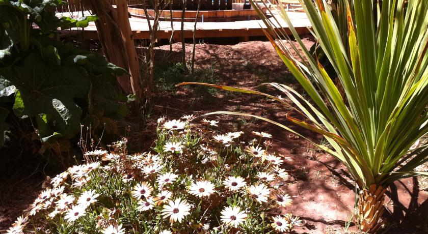 Atacama-Adventure Wellness & Ecolodge Сан-Педро-де-Атакама Екстер'єр фото